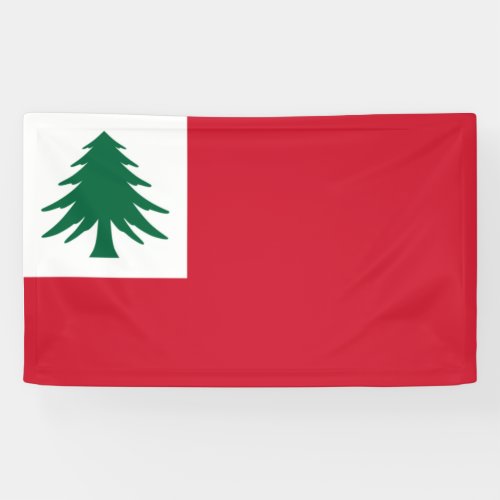 Flag of New England Banner
