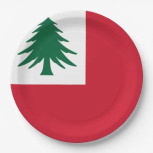 Flag of New England Paper Plates