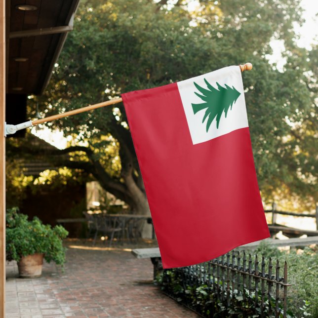 Flag of New England (United States of America) (In SItu)