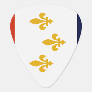 Flag of New Orleans, Louisiana Guitar Pick