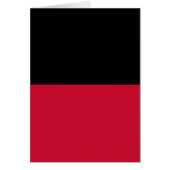 Flag of Nijmegen (Front)