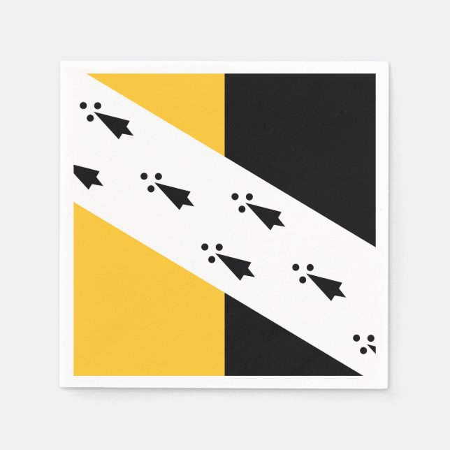 Flag of Norfolk Paper Napkins (Front)