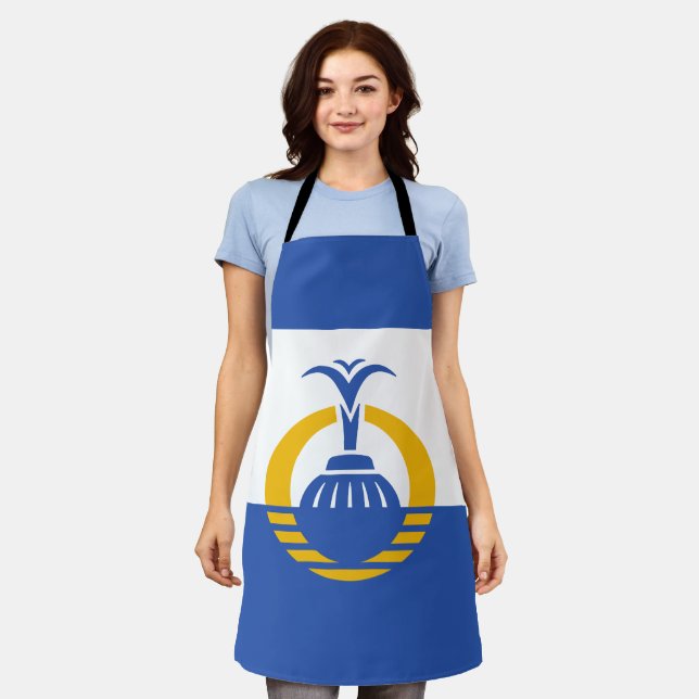 Flag of Orlando, Florida Apron (Worn)