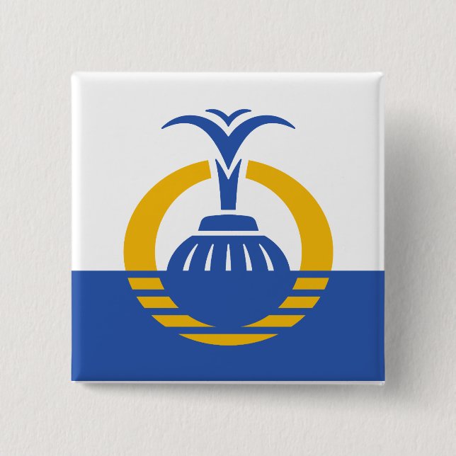  Flag of Orlando, Florida. Button (Front)