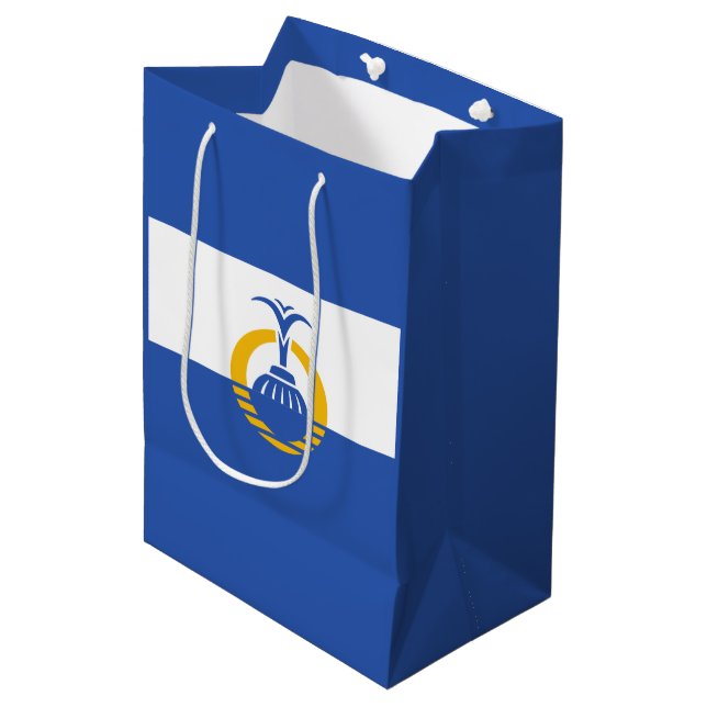 Flag of Orlando, Florida Medium Gift Bag (Front Angled)