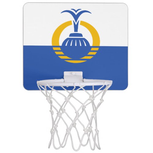  Flag of Orlando Florida Mini Basketball Hoop