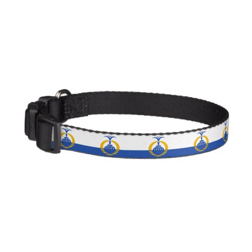 Flag of Orlando Florida Pet Collar