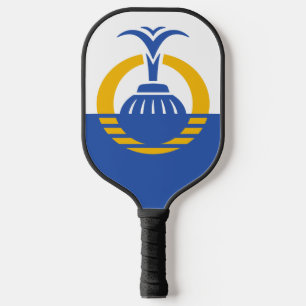 Flag of Orlando, Florida. Pickleball Paddle