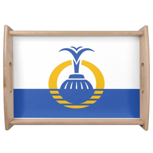 Flag of Orlando Florida Serving Tray