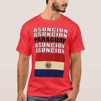 Flag of Paraguay T-Shirt