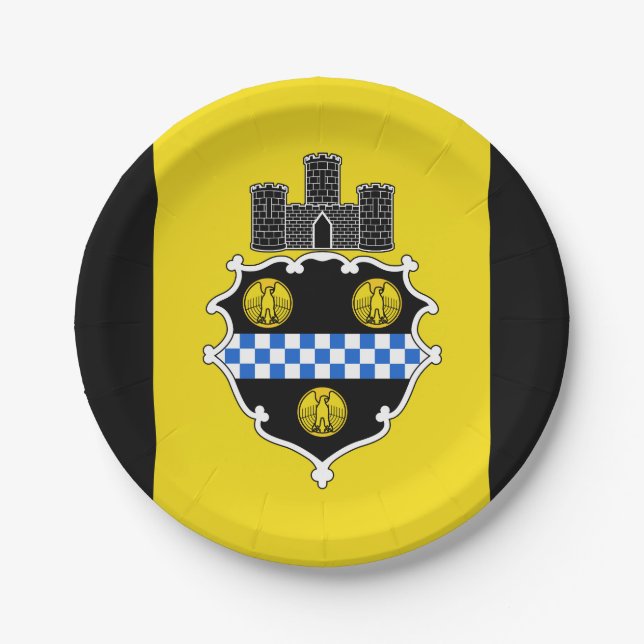 Flag of Pittsburgh, Pennsylvania Paper Plate (Front)