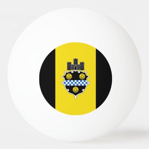 Flag of Pittsburgh Pennsylvania Ping Pong Ball