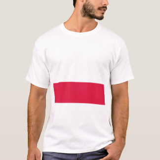 Flag of Poland | Poland National Flag T-Shirt