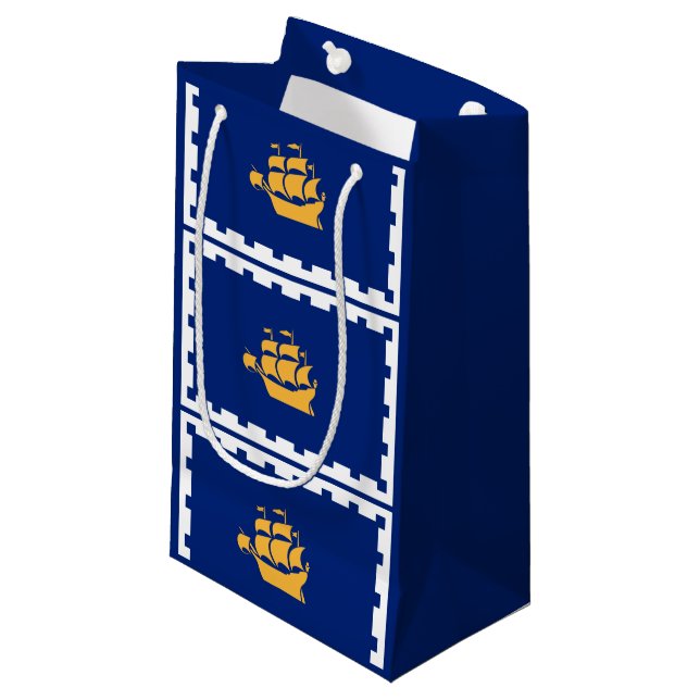 Flag of Quebec City Small Gift Bag (Front Angled)