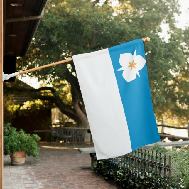 Flag of Salt Lake City (Utah) (In SItu)