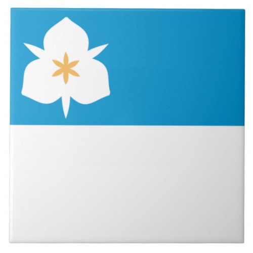 Flag of Salt Lake City Utah Ceramic Tile
