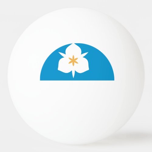 Flag of Salt Lake City Utah Ping Pong Ball