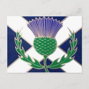 Flag Of Scotland And Thistle Postcard by RevZazzle at Zazzle