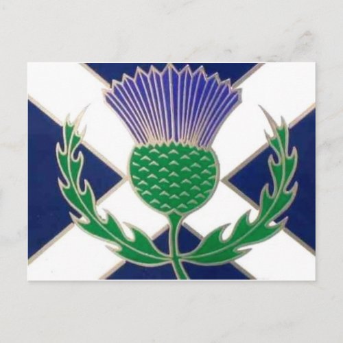 Flag of Scotland and Thistle Postcard