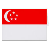 Flag of Singapore (Front Horizontal)