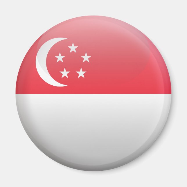 Flag of Singapore Magnet (Front)