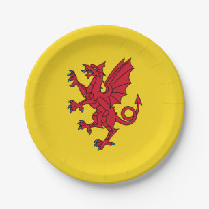 Flag of Somerset Paper Plates