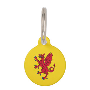 Flag of Somerset Pet ID Tag