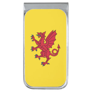 Flag of Somerset Silver Finish Money Clip