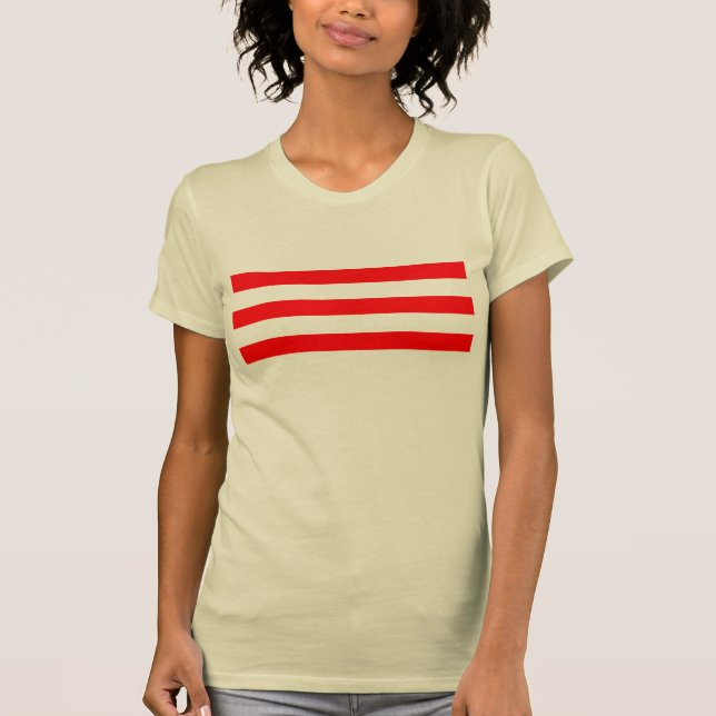 Flag of South Vietnam T-Shirt (Front)