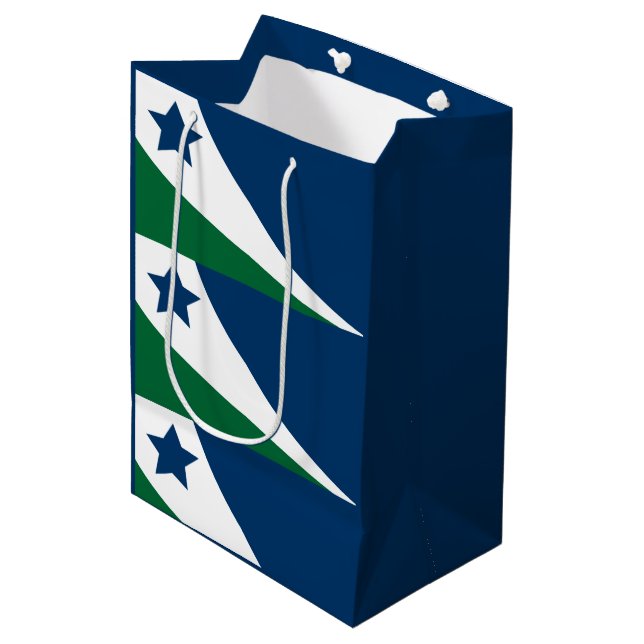Flag of Spring Hill, Tennessee Medium Gift Bag (Front Angled)