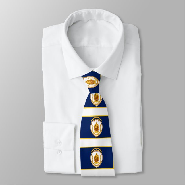 Flag of Springfield, Massachusetts Neck Tie (Tied)