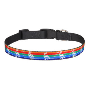 Flag of St. Petersburg, Florida Pet Collar