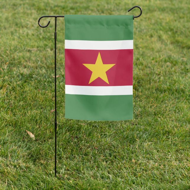 Flag of Suriname (In SItu)