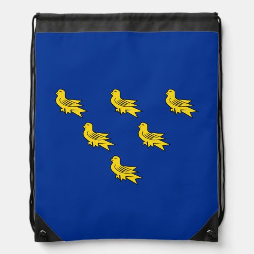 Flag of Sussex Drawstring Bag