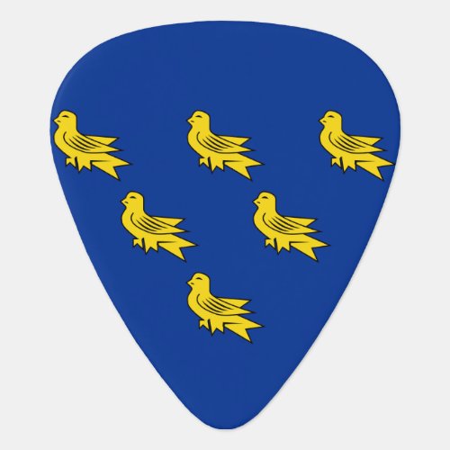 Flag of Sussex Guitar Pick