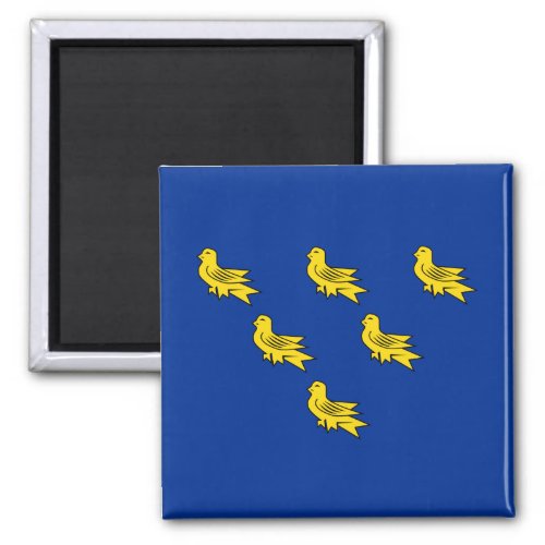 Flag of Sussex Magnet