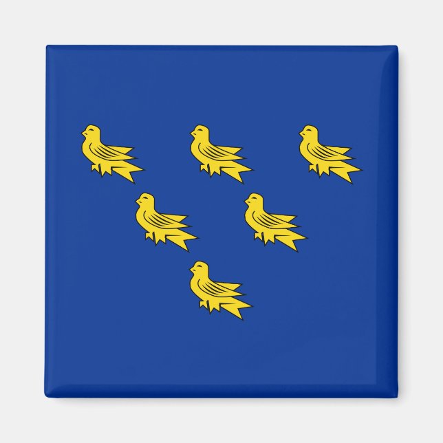 Flag of Sussex Magnet (Front)
