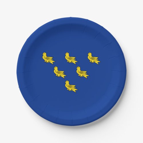 Flag of Sussex Paper Plates