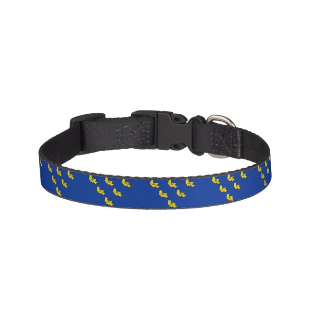 Flag of Sussex Pet Collar (Front)