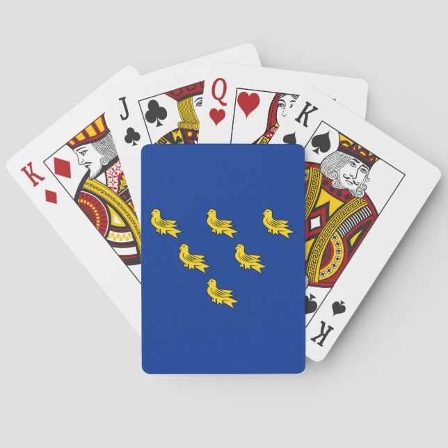 Flag of Sussex Poker Cards (Back)