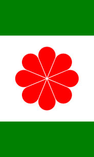 independent taiwan flag iphone