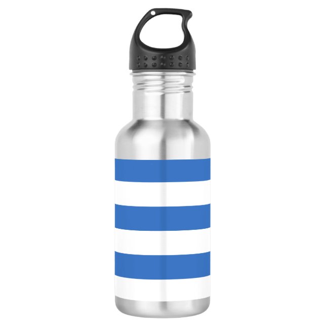 Flag of Tallinn, Estonia Stainless Steel Water Bot Bottle (Front)