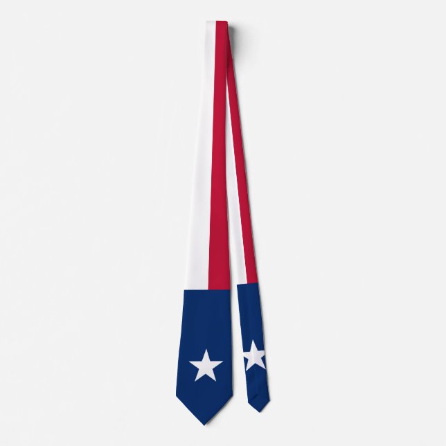 Flag of Texas Neck Tie (Front)