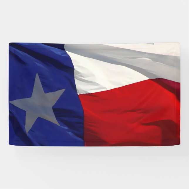 Flag of Texas Pop Art Banner (Horizontal)