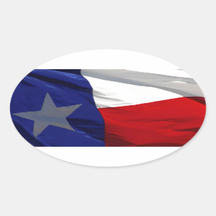 Flag of Texas Pop Art Oval Sticker