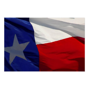 Flag of Texas Pop Art Poster