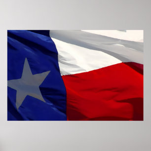 Flag of Texas Pop Art Poster