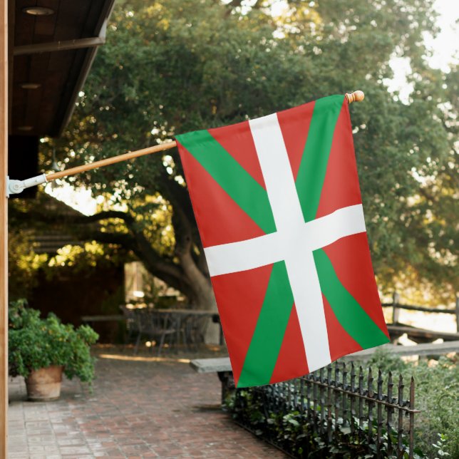 Flag of the Basque Country (In SItu)