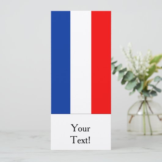 Flag of The Netherlands (Standing Front)