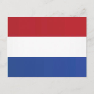 Flag of the Netherlands Postcard